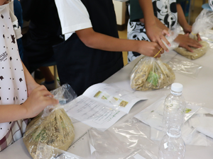 【食育】たのしいぬか漬け教室（蟹江町立新蟹江小学校）