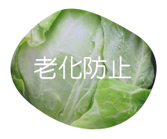 老化防止